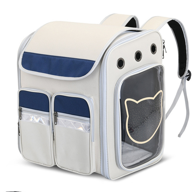 Folding pet carry-on box